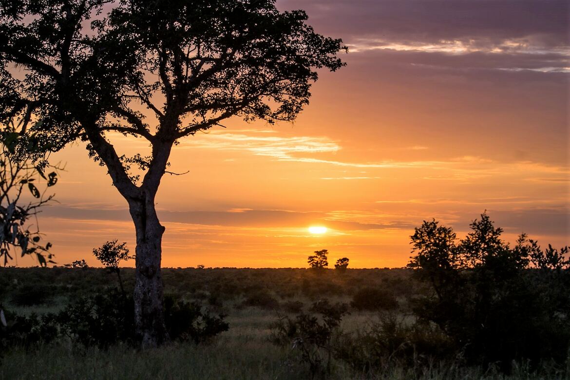 Sunrise sur le bush africain