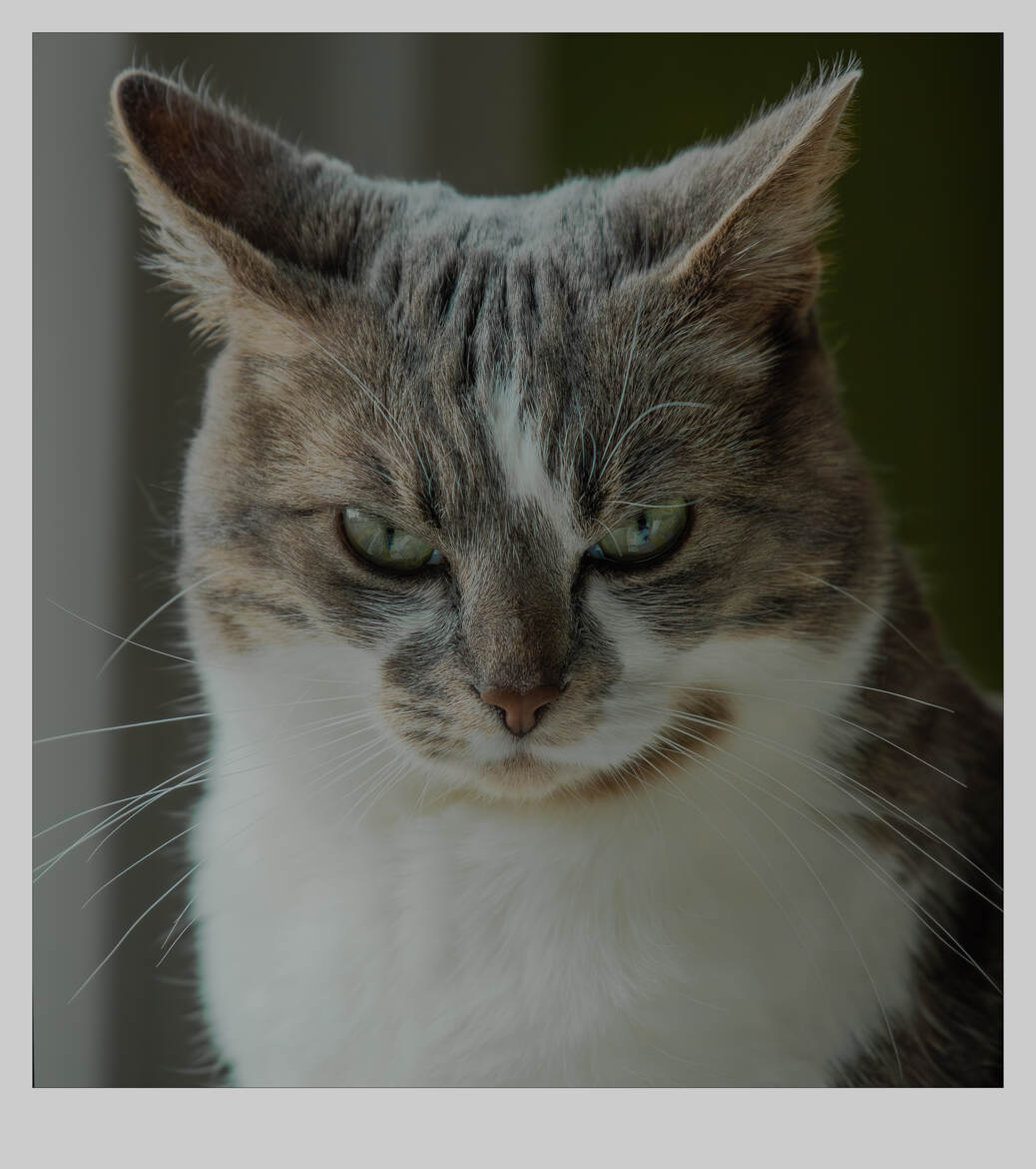 Elle donne l'impression d'être sérieuse