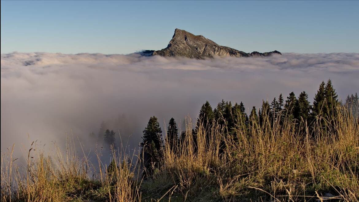 Le Grand Som au petit matin