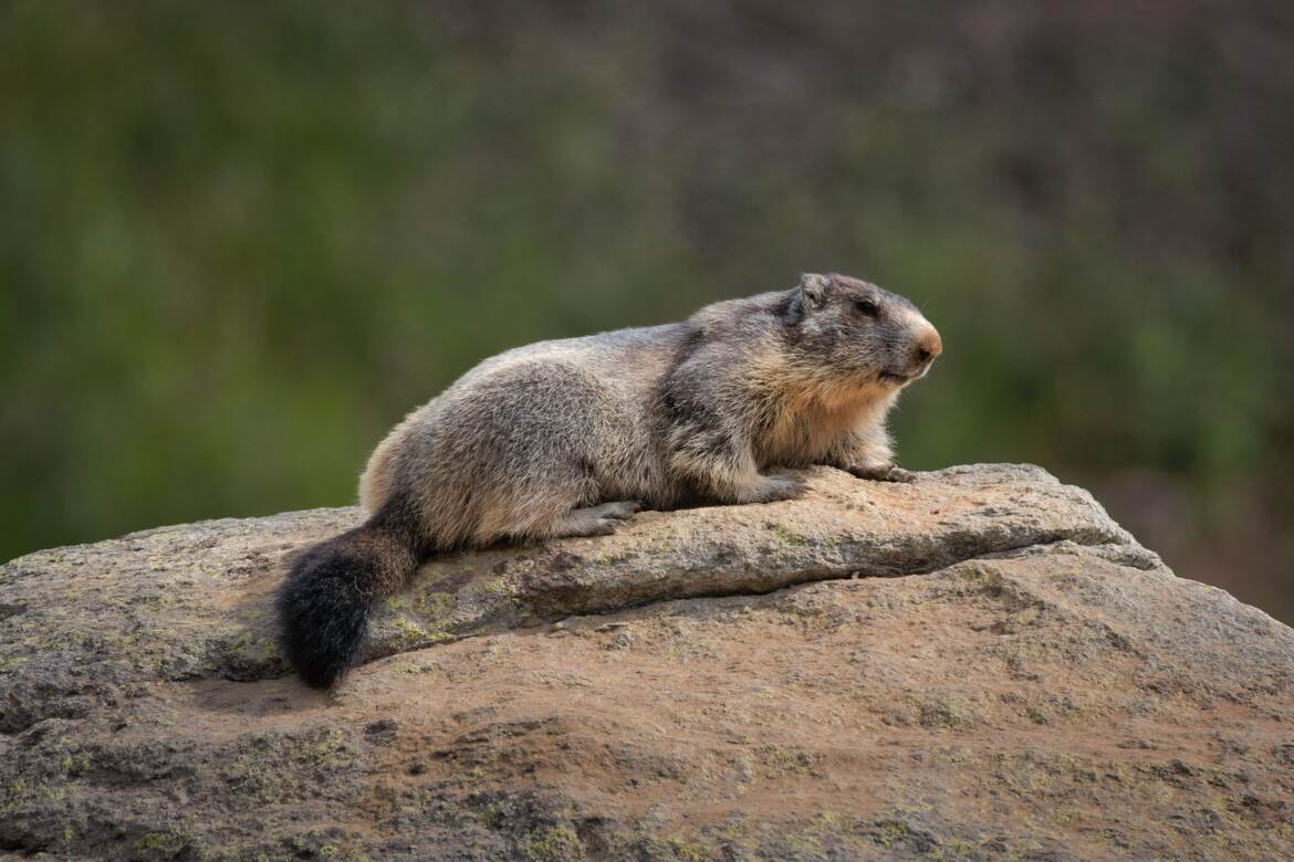 D'ici, je verrai tout.