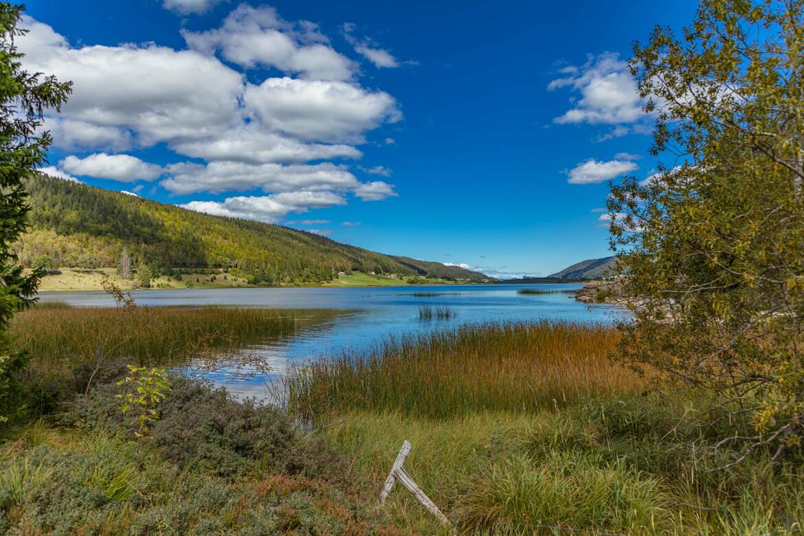 Lac des Rousses (suite )