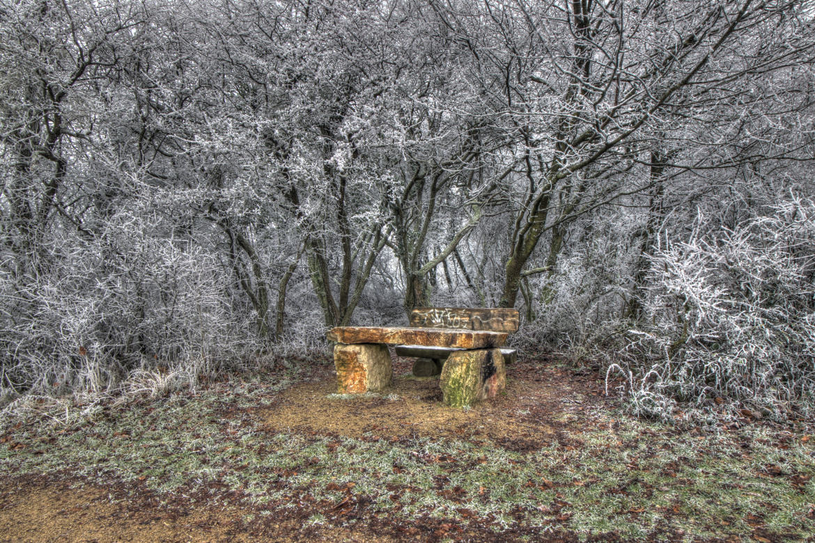 Piégé dans le givre