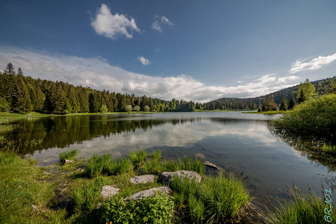 Lac Genin