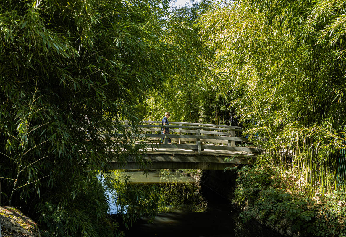 le pont vert