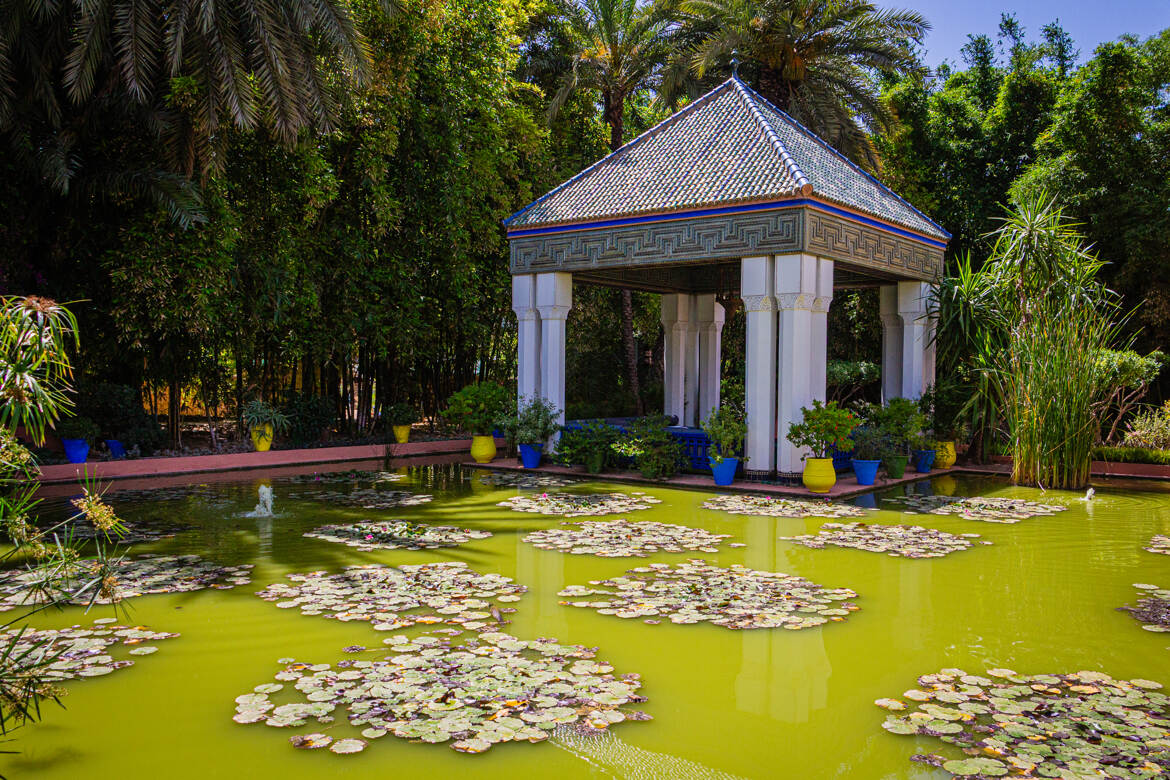 Majorelle