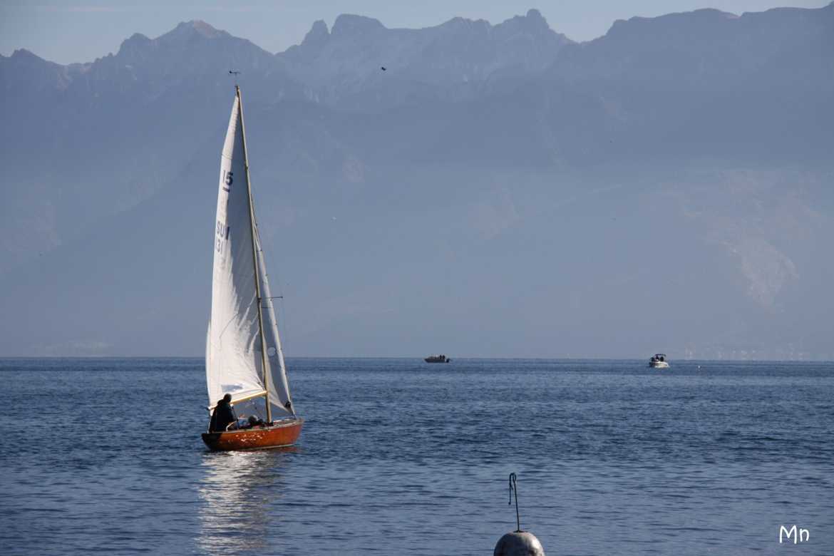 Bleu Léman