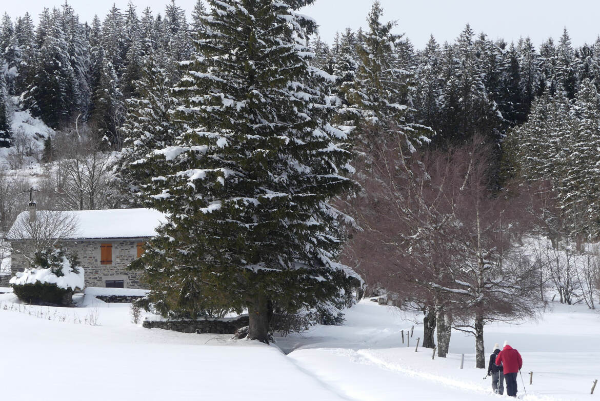 Randonnée hivernale