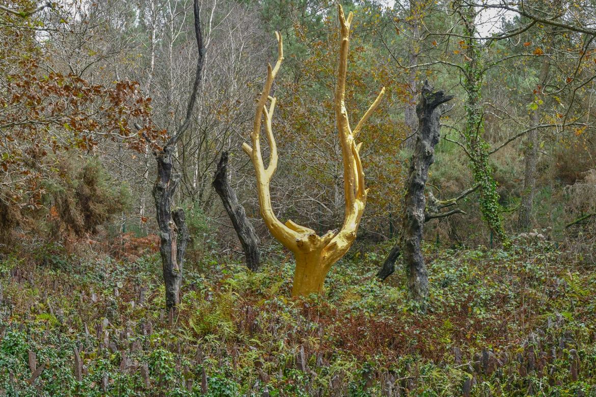 L'arbre d'or