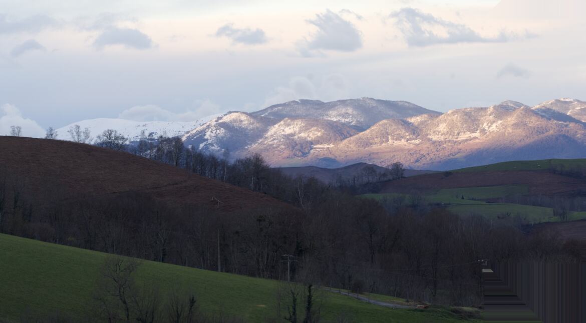 première neige