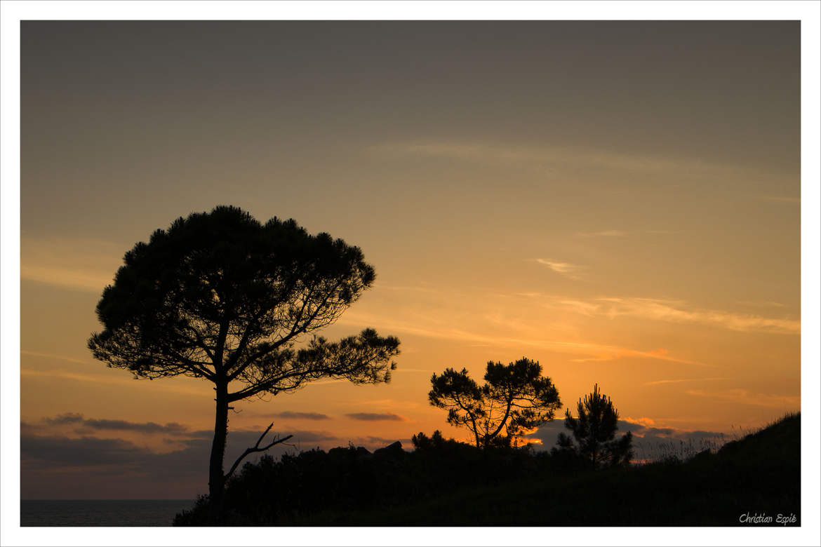 Coucher de soleil sur l'estuaire de la Gironde