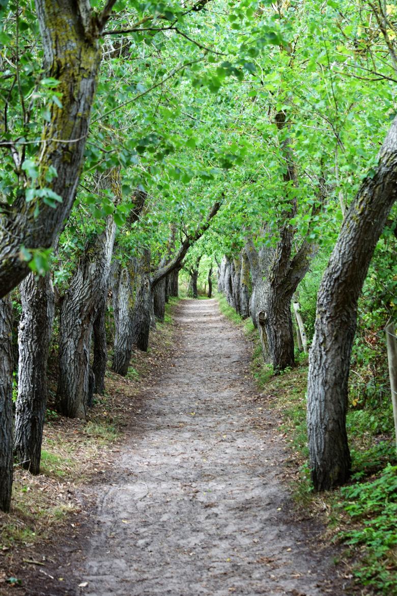 Au bout du chemin