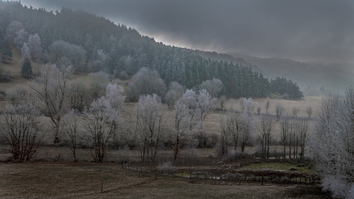 La vague de froid...