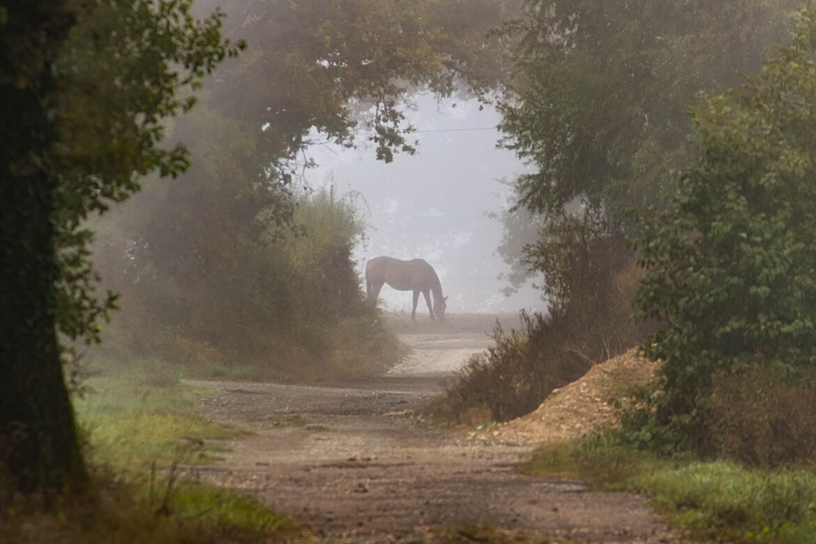 Au bout du chemin