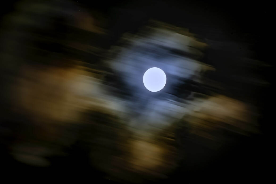 La lune du loup