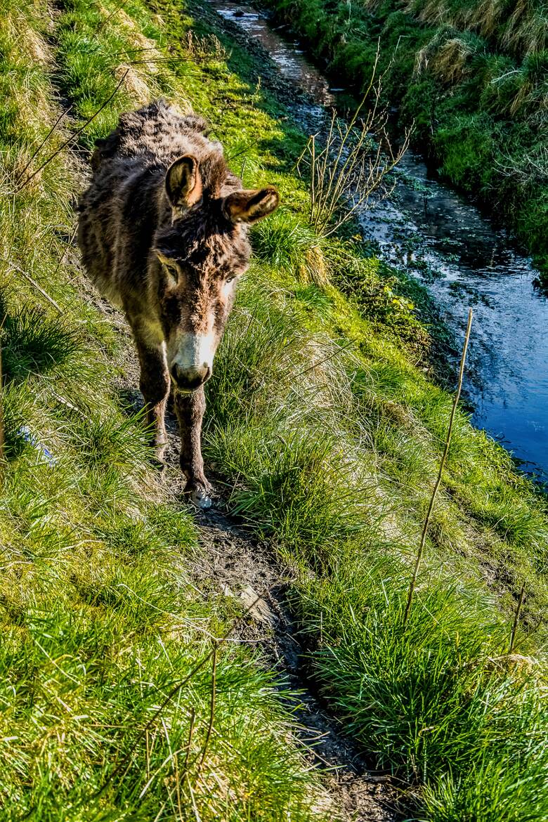 Sur des petits chemin escarpés