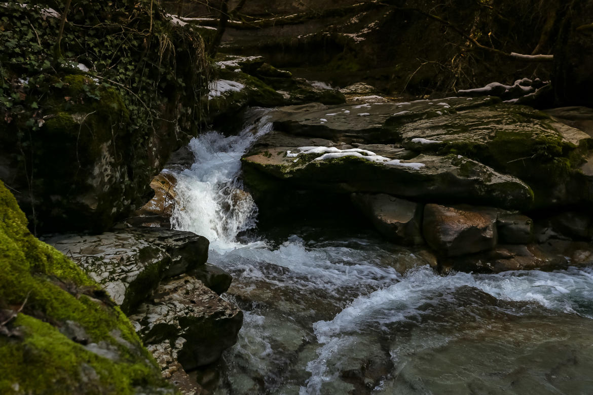 Lumière sur l eau