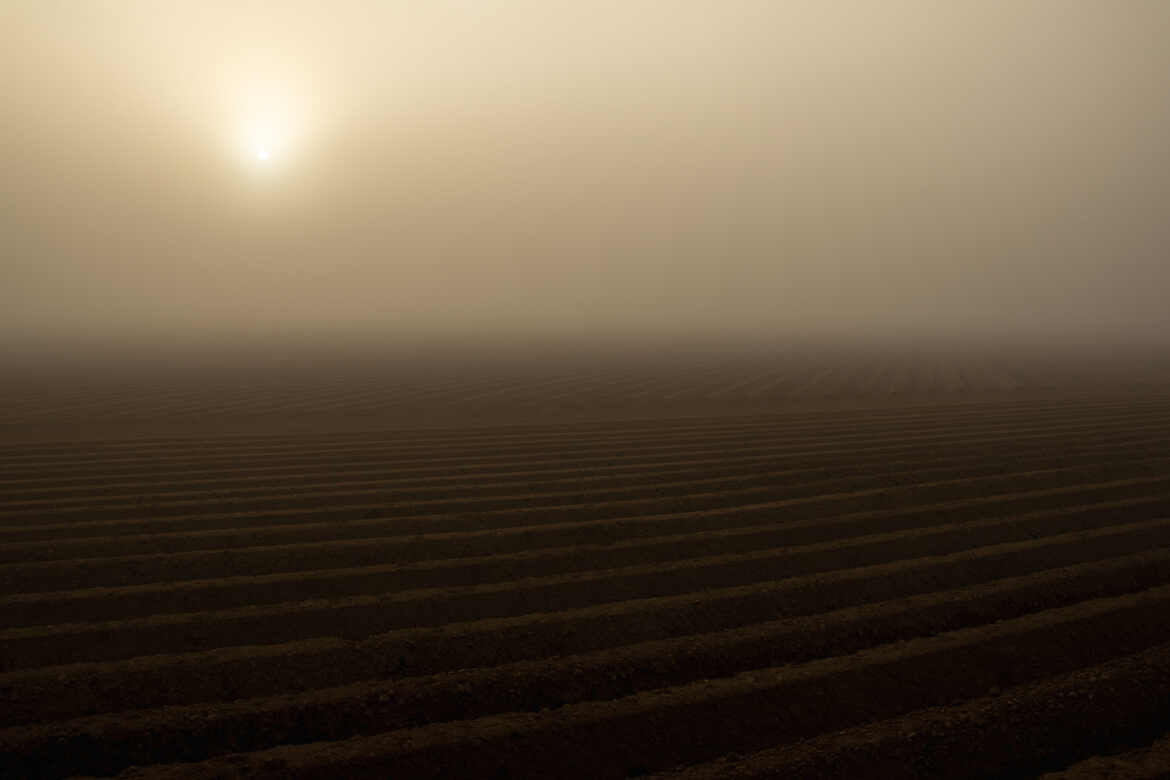 Le silence de la brume