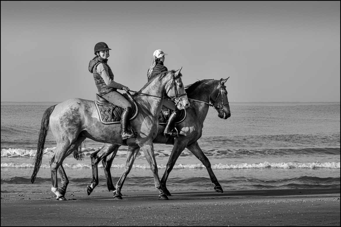 Ballade Equestre - 2