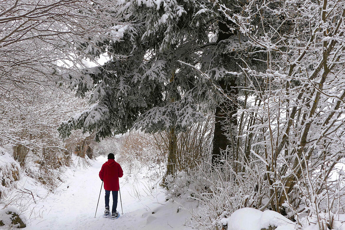 Randonnée en raquettes