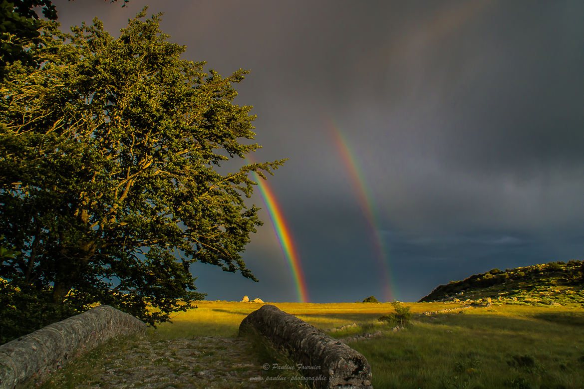 Un pont après l'orage