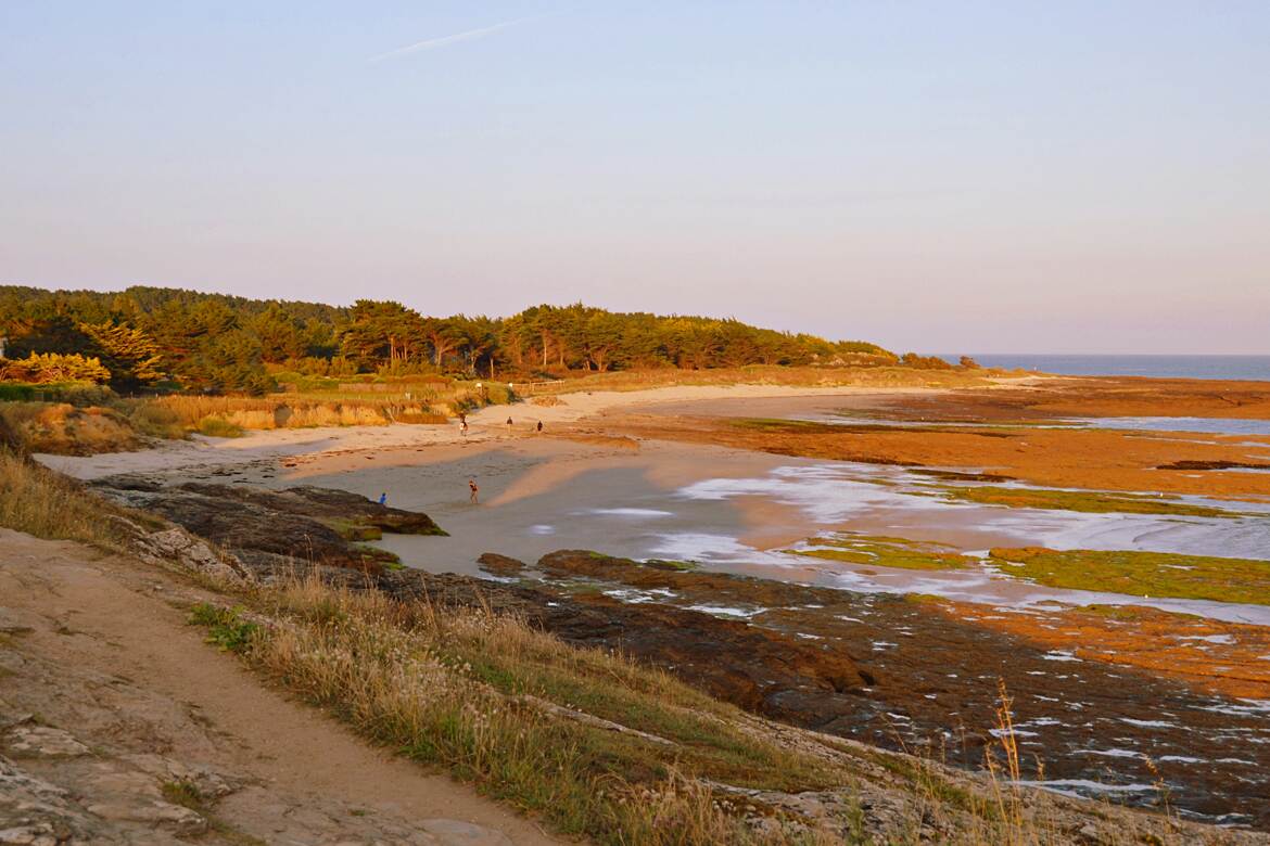 Petite plage Morbihanaise