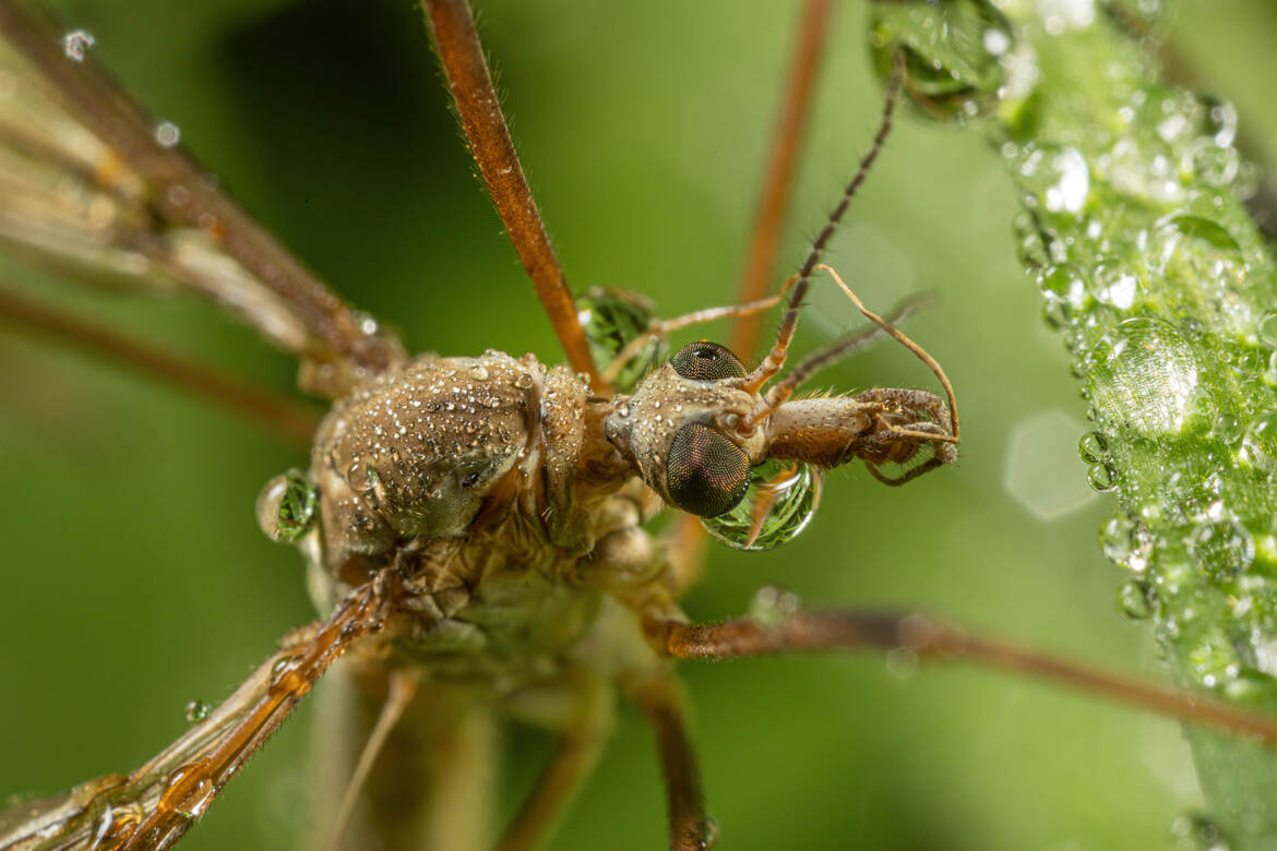 Elle va s'enrhumer!!