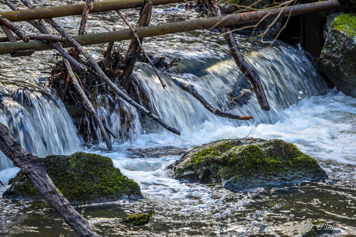 Petite cascade