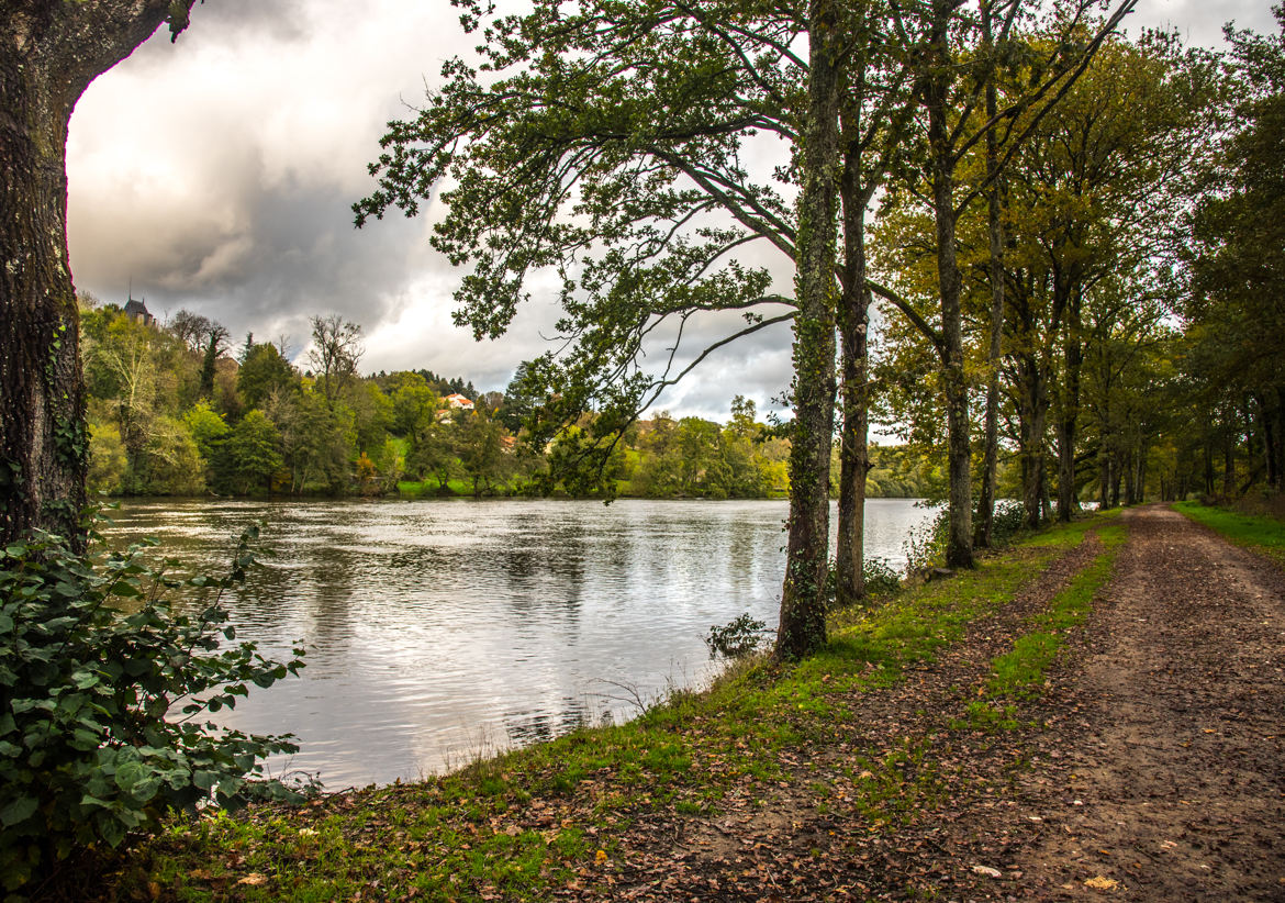 Bord de Vienne