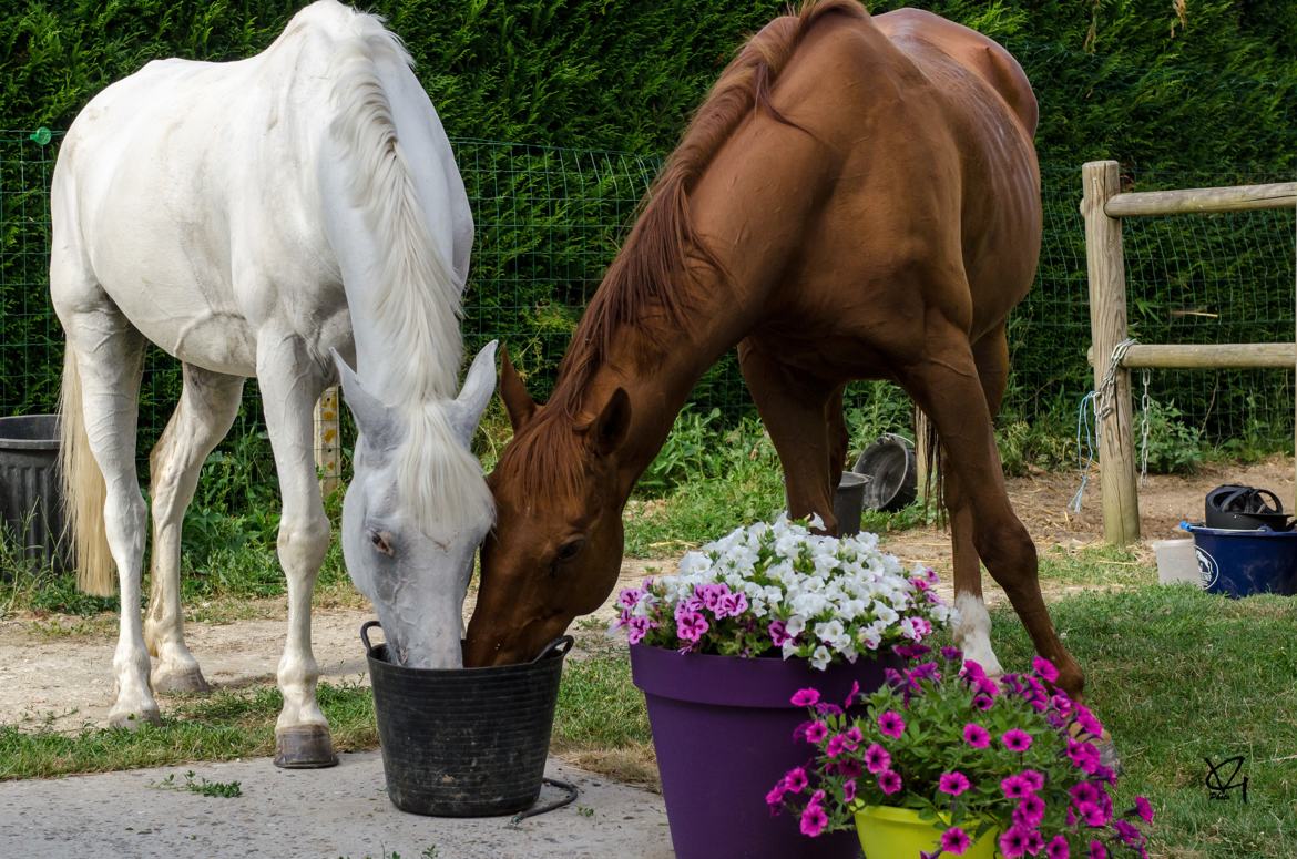 Moment de complicité