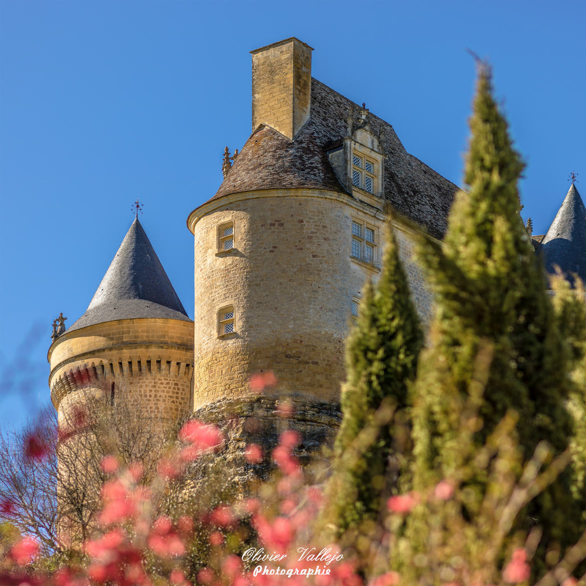 Château de Bannes (Dordogne)