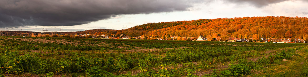 vue sur mon quartier à Marcoussis