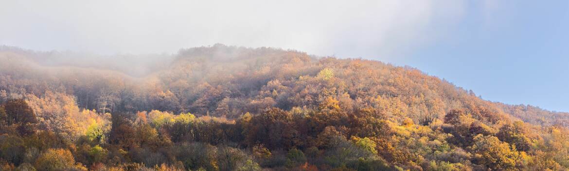 la tête dans la brume