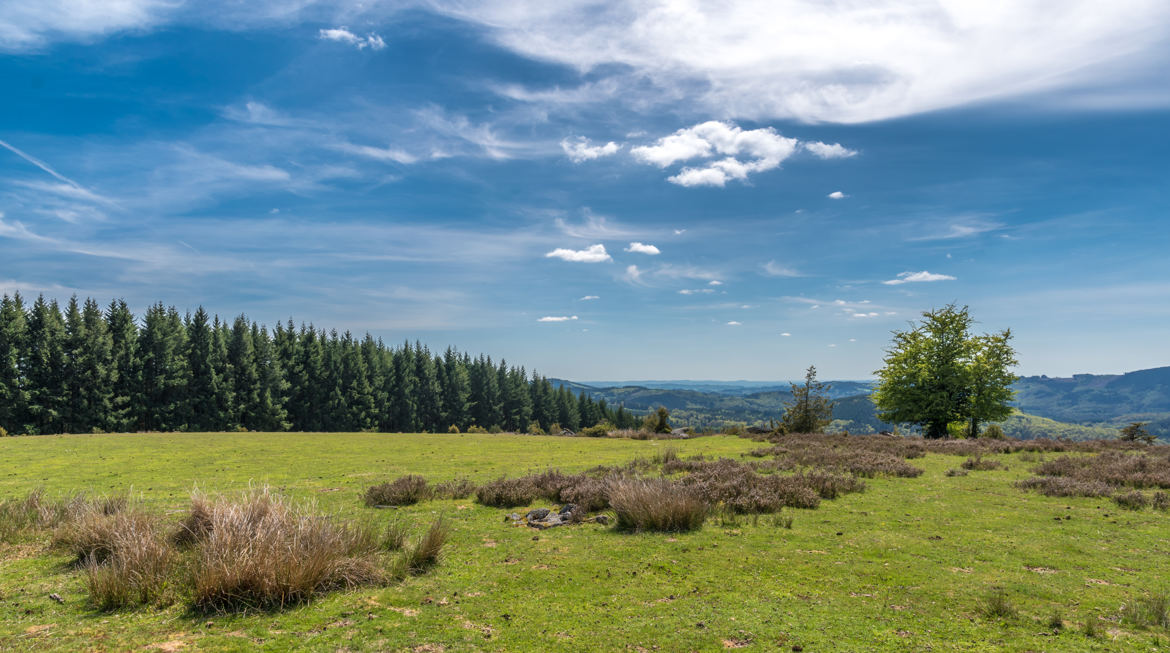 Les prairies de corrèze