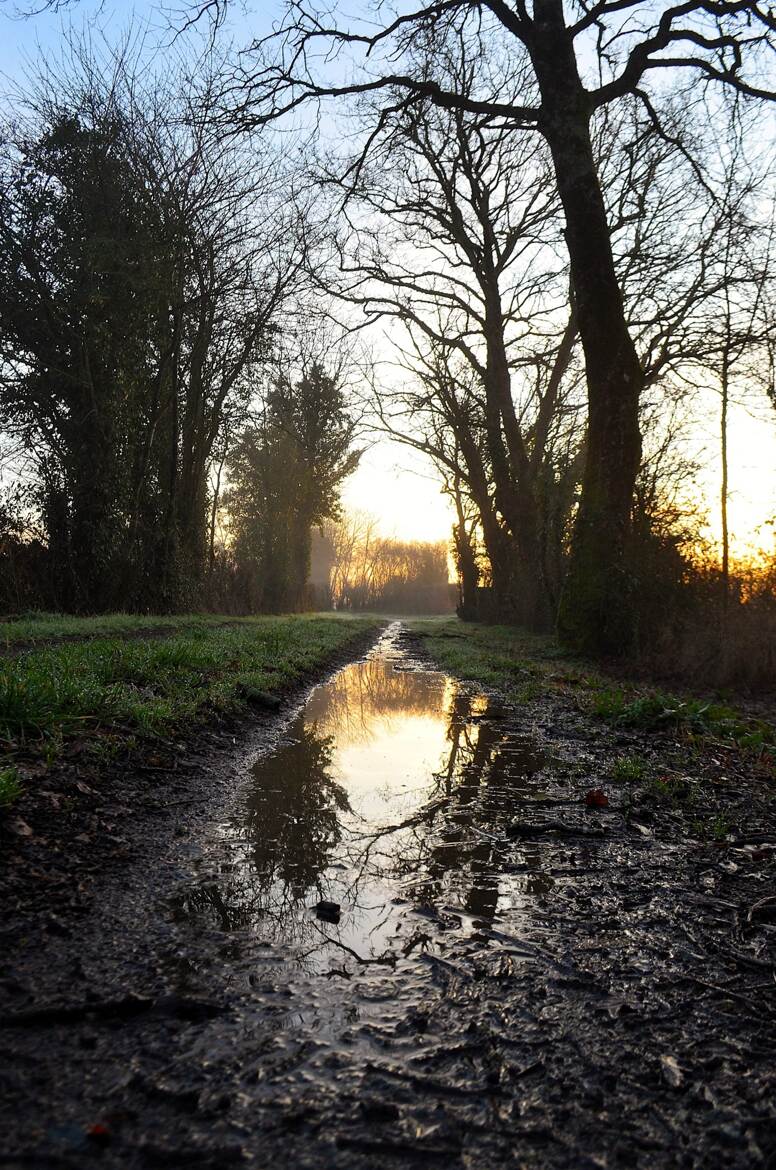 Reflet en chemin.