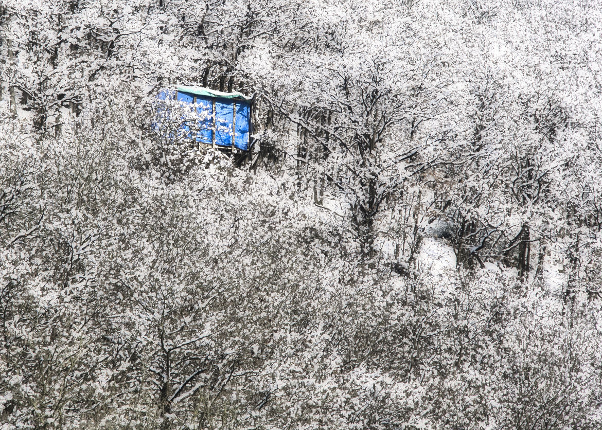 La petite cabane