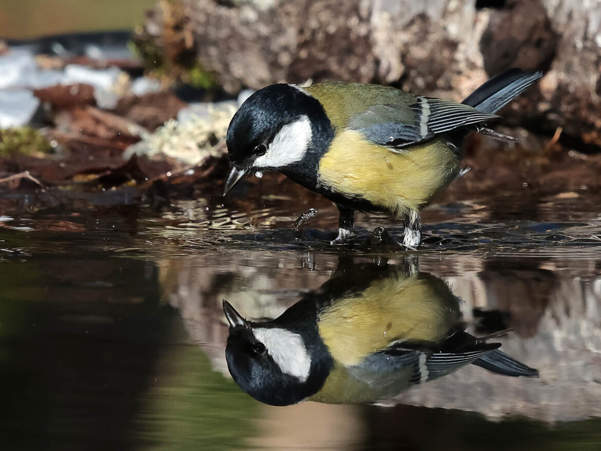 Ton visage ne m'est pas inconnu