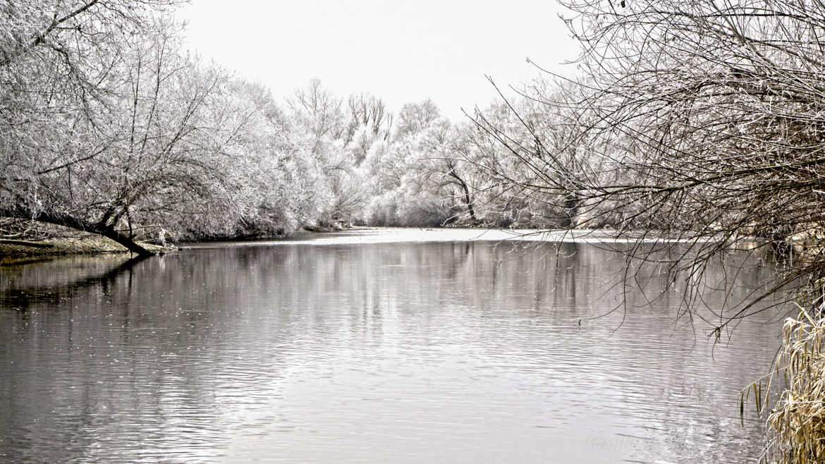 Saison blanche