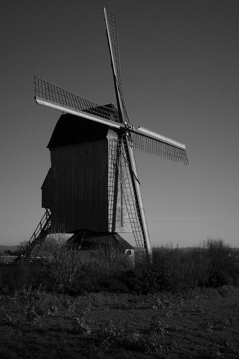 Noordmeuln - Steenvoorde (59)