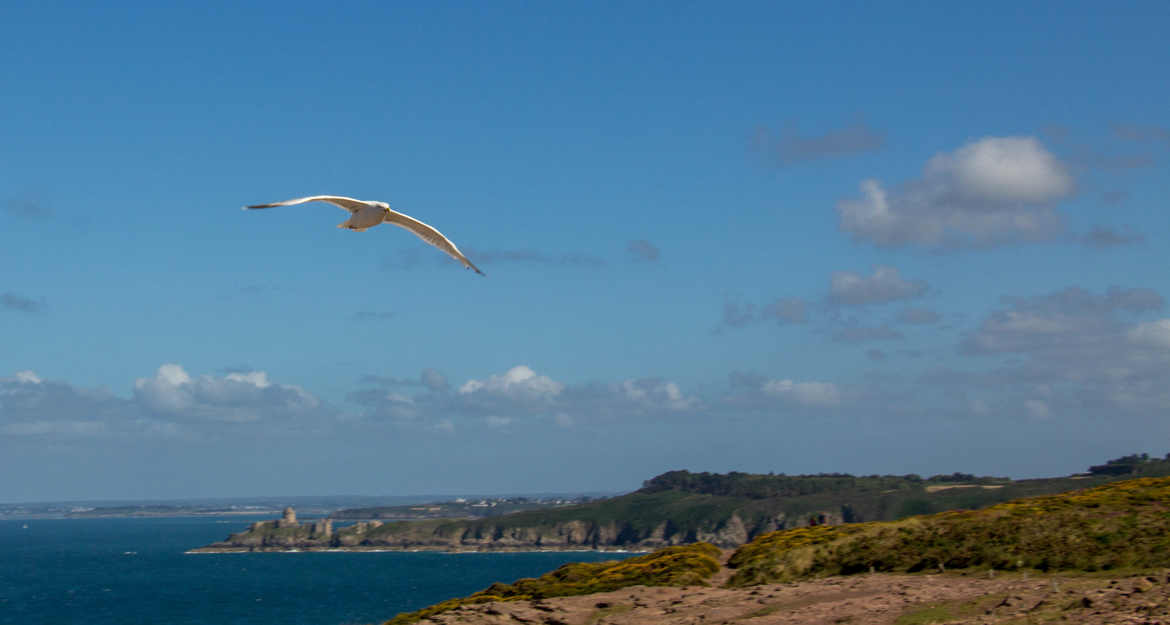 Cap Fréhel