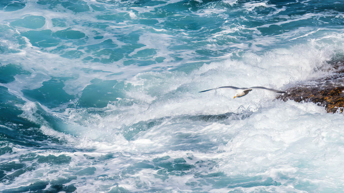 Au dessus des vagues