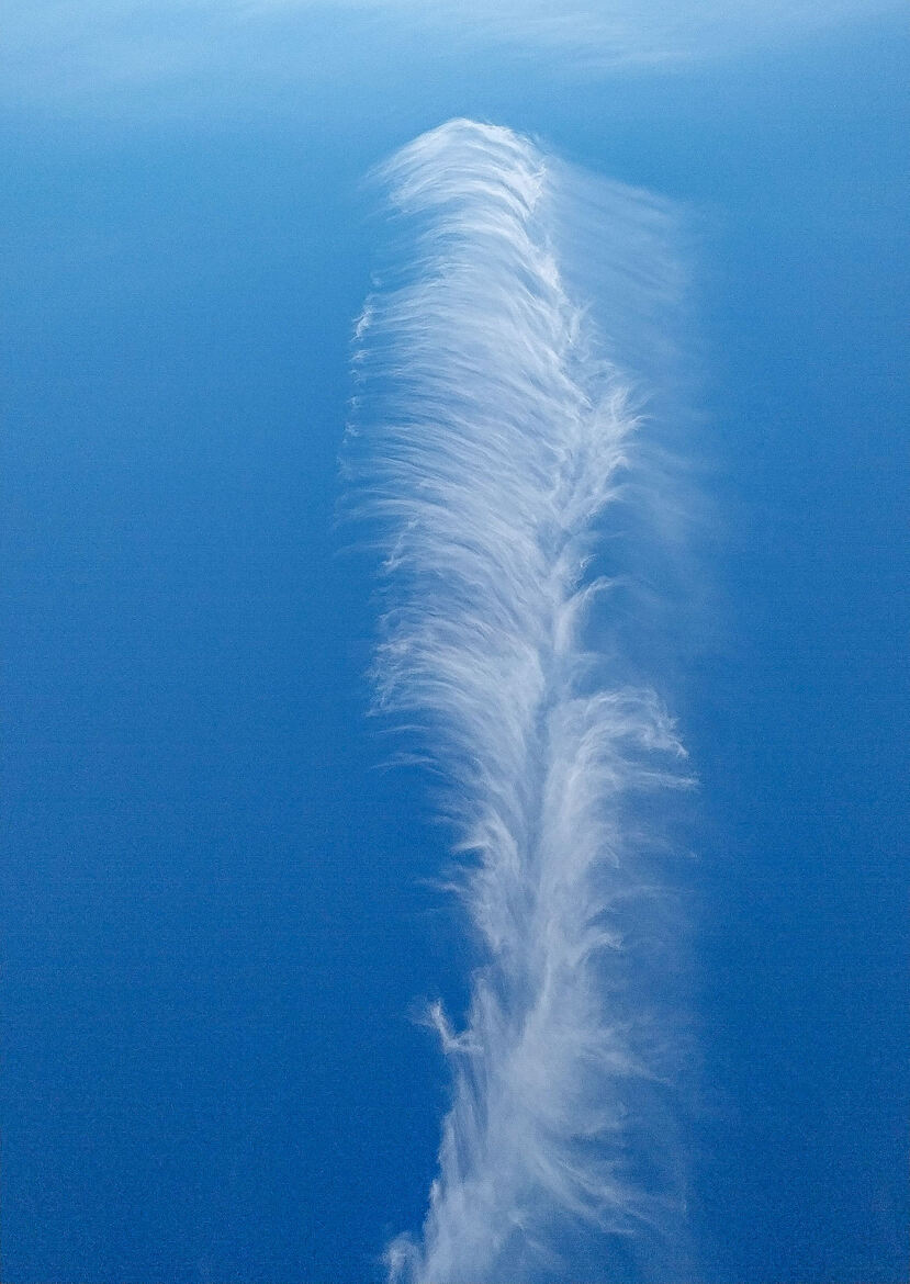 une plume dans le ciel