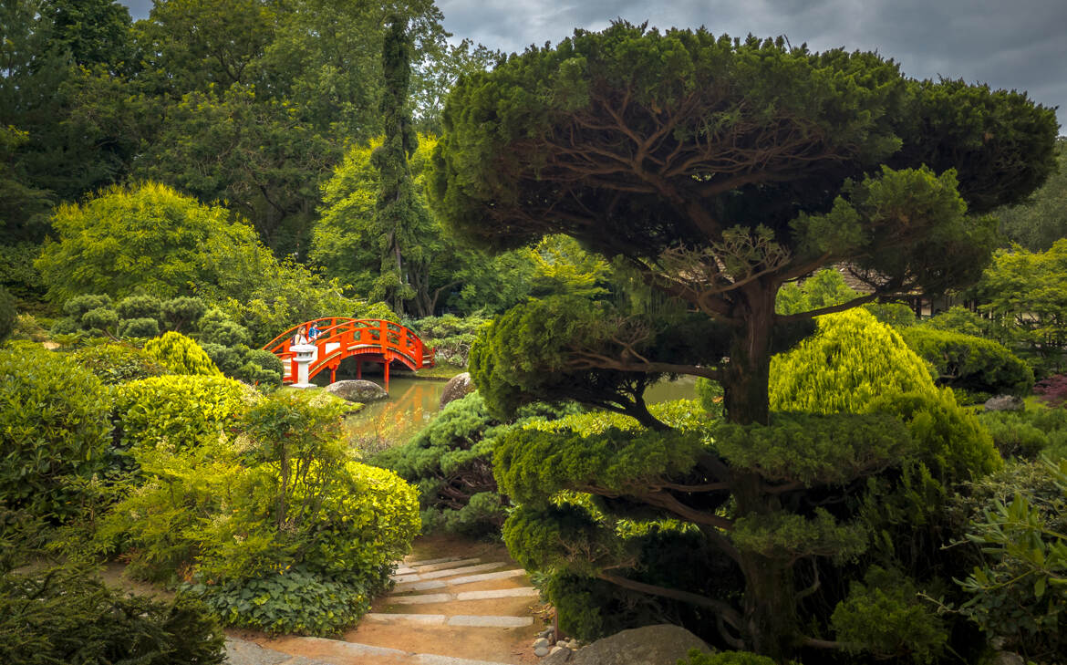 Jardin japonais Pierre Baudis