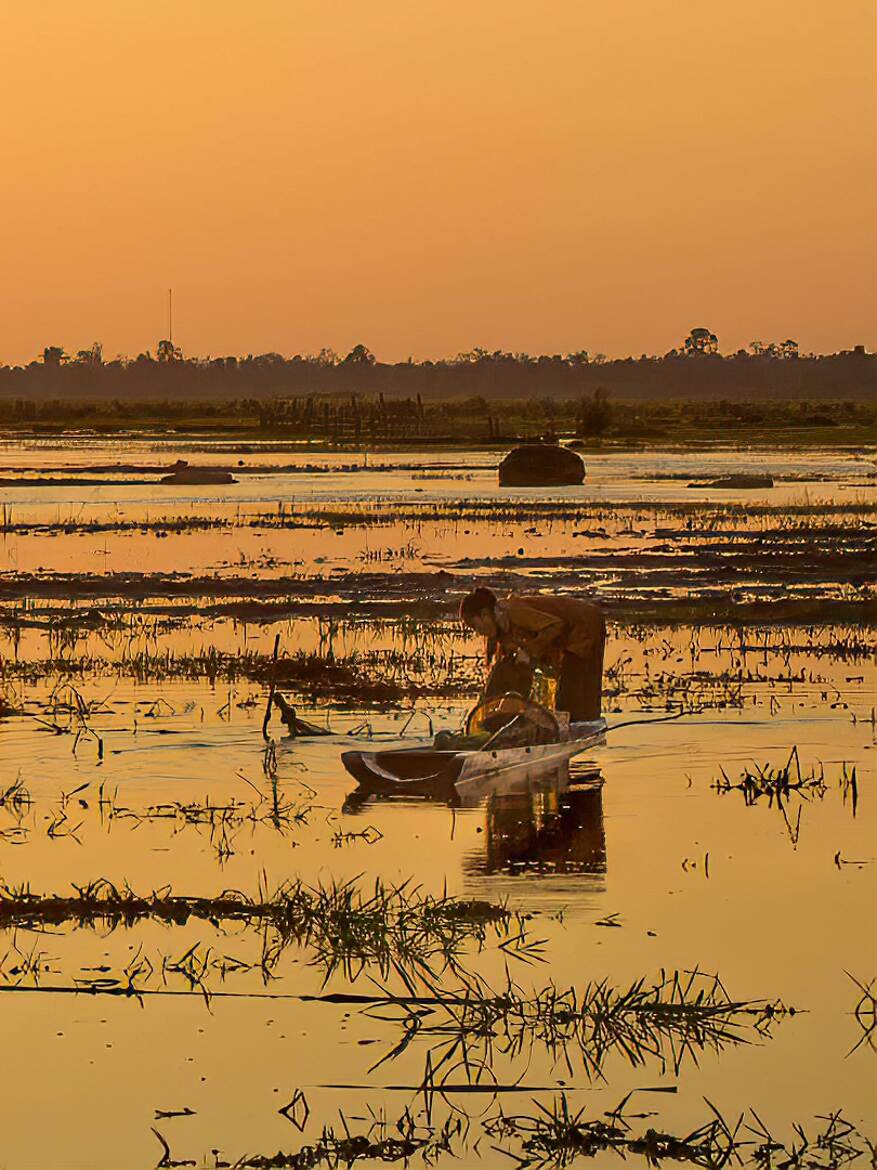 Pêche au petit matin