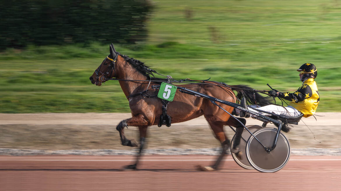 Le vainqueur (couleur)