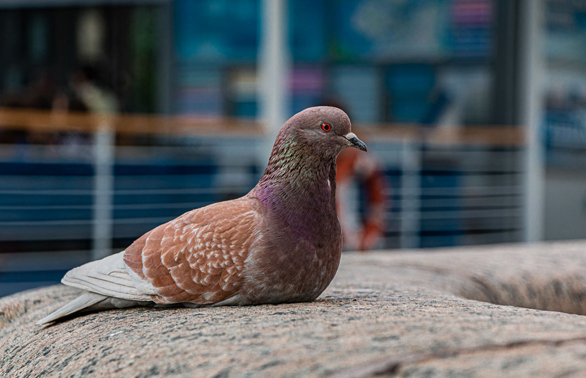 je me pose pour toi !!