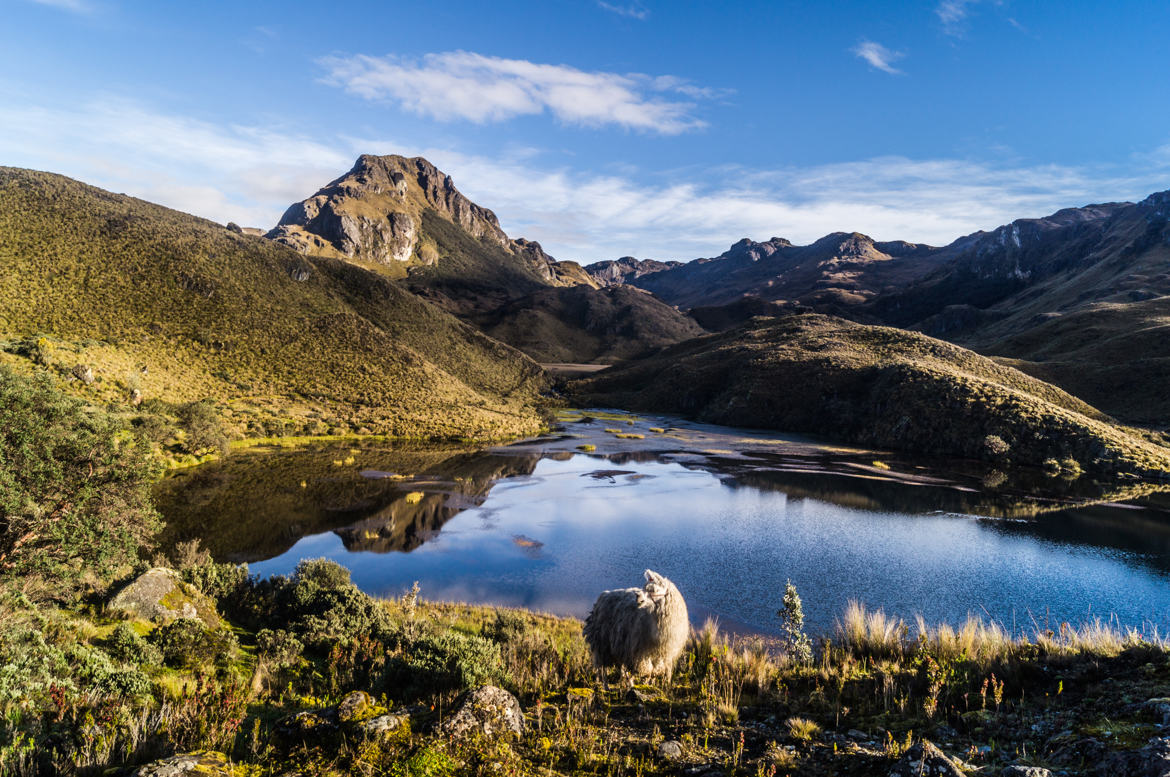 Laguna Patoquinuas