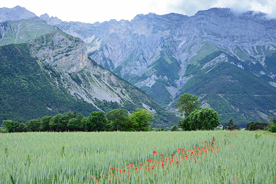 Vallée de l'Ubaye