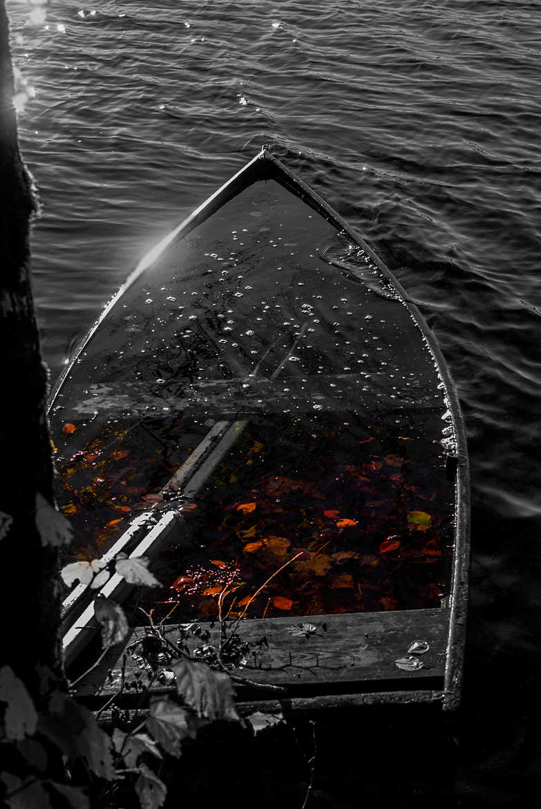 Barque d'automne