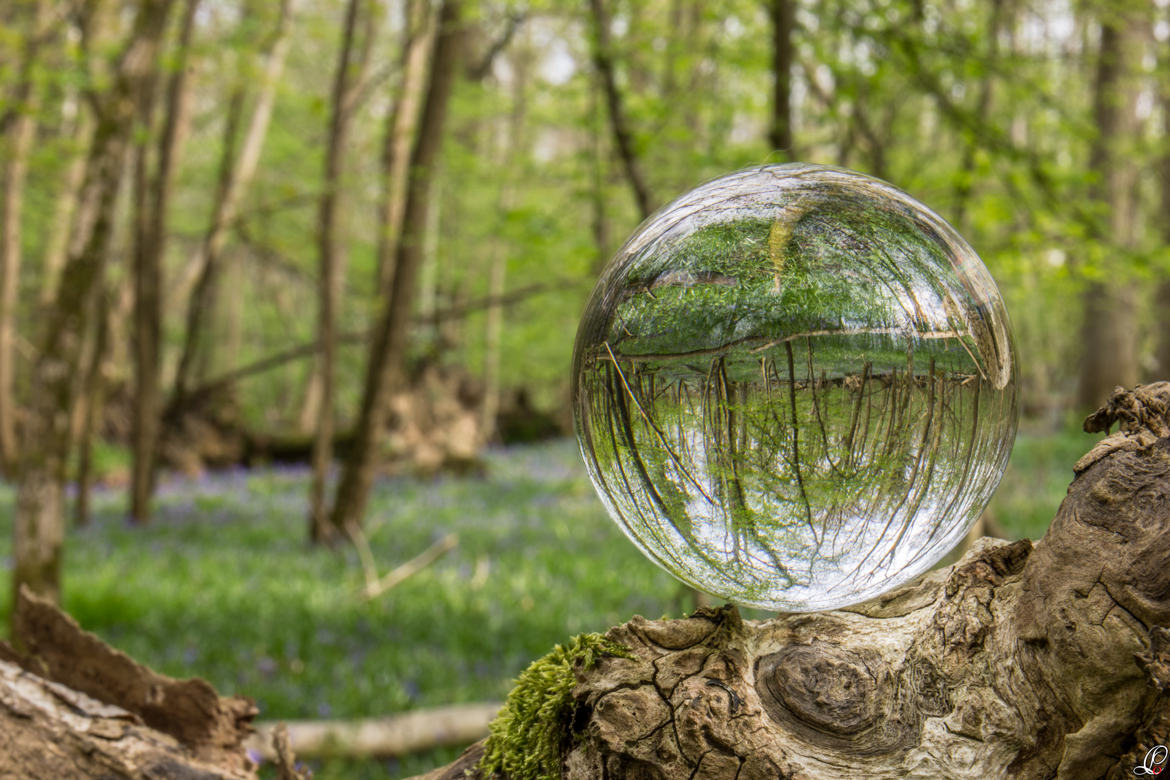 Boule de printemps