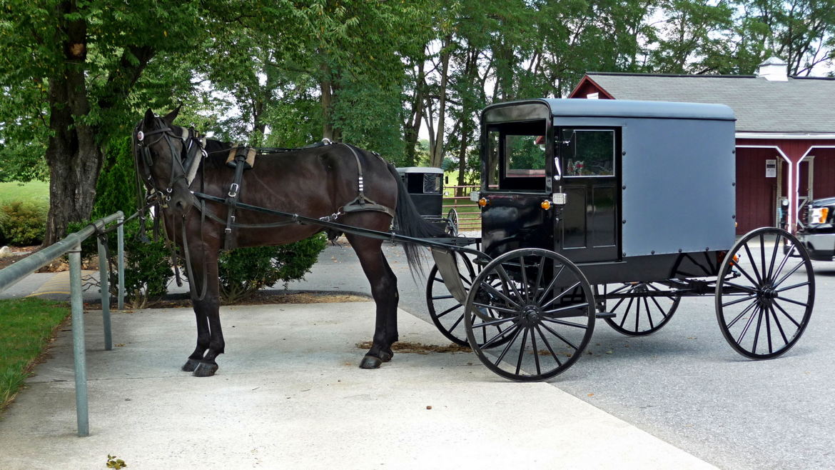 équipage amish